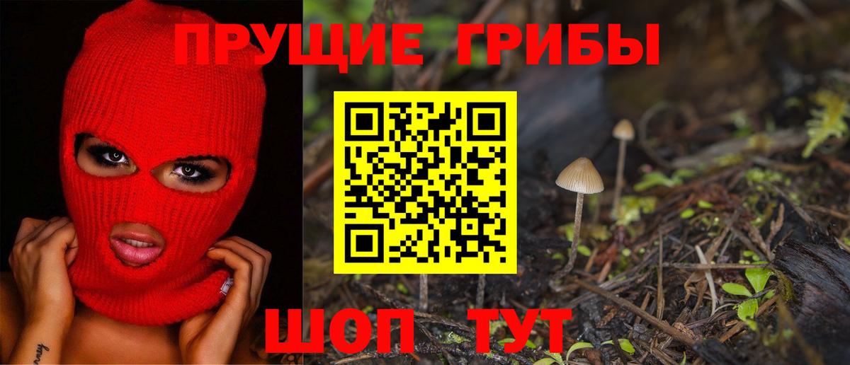 Вышний Волочёк  Псилоцибиновые грибы Cubensis  Вход с VPN 